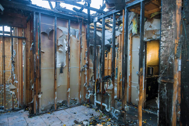 Professional Fire Damage Removal technician working in Diamond Springs, CA